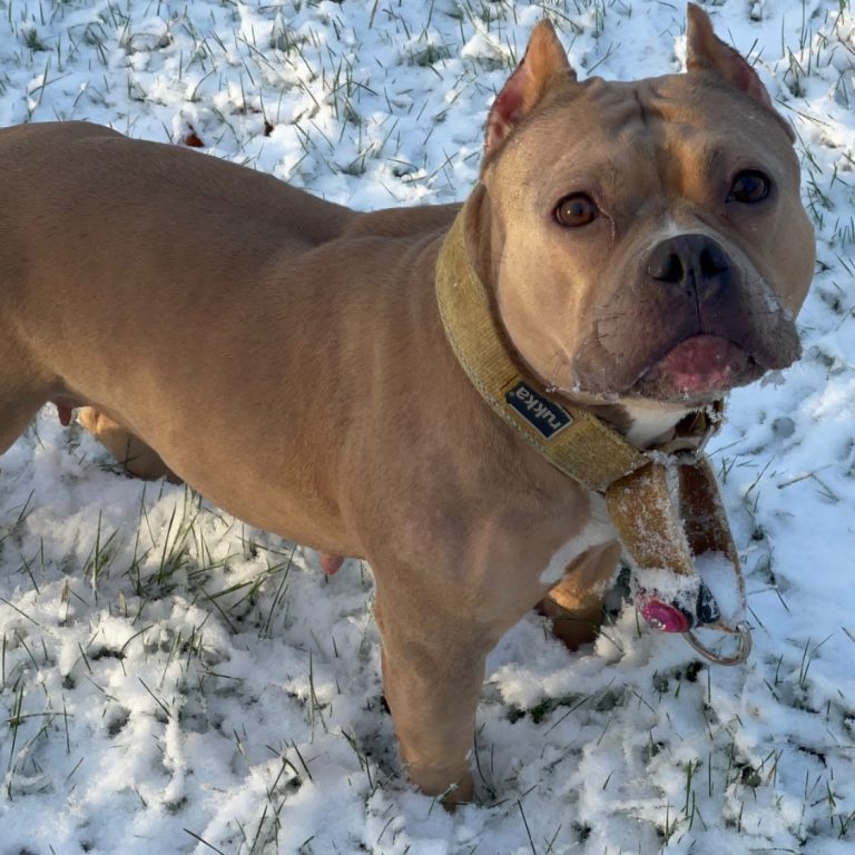 Foto von Unsplash von: - Gabriel Tenan